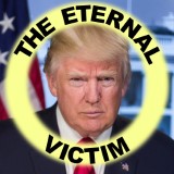 https://www.theguardian.com/commentisfree/article/2024/jun/17/donald-trump-visits-capitol-hill